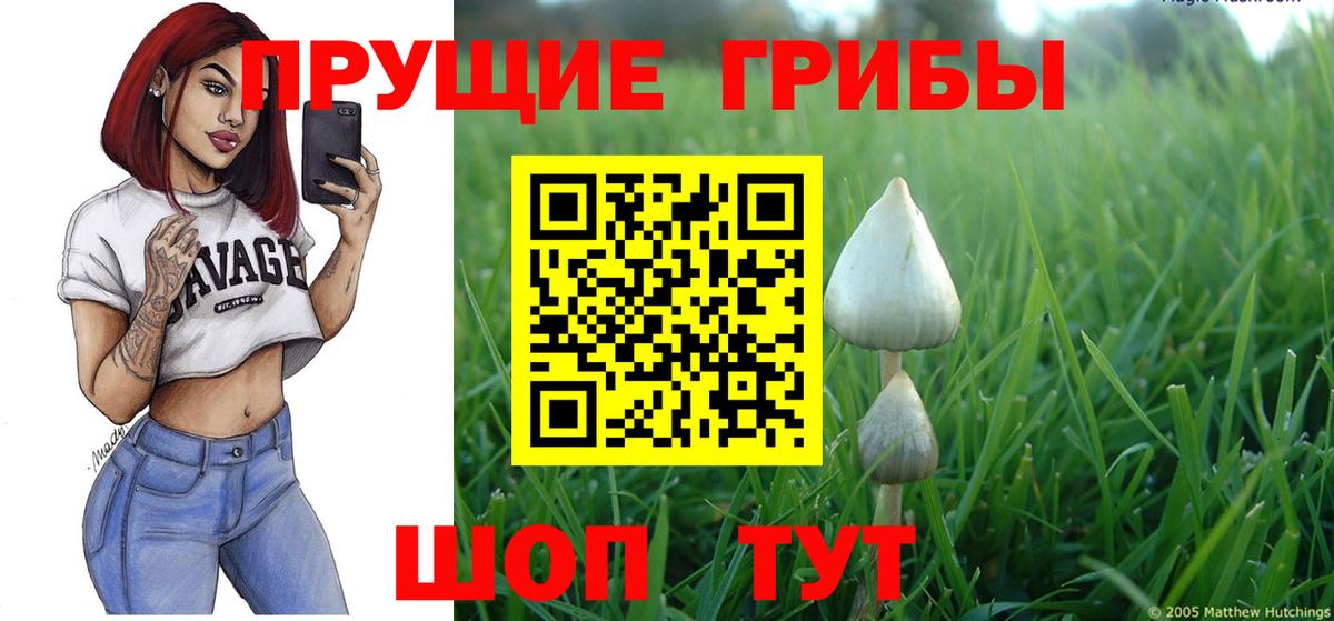 Галлюциногенные грибы GOLDEN TEACHER Вологда